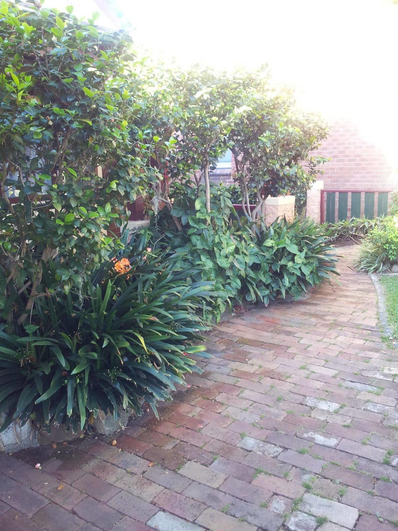 Hamilton Heritage B & B Newcastle Buitenkant foto