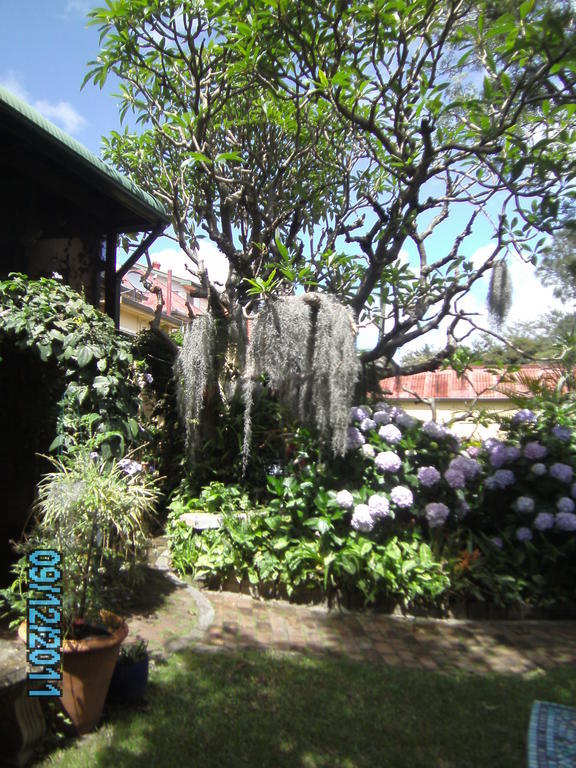Hamilton Heritage B & B Newcastle Buitenkant foto